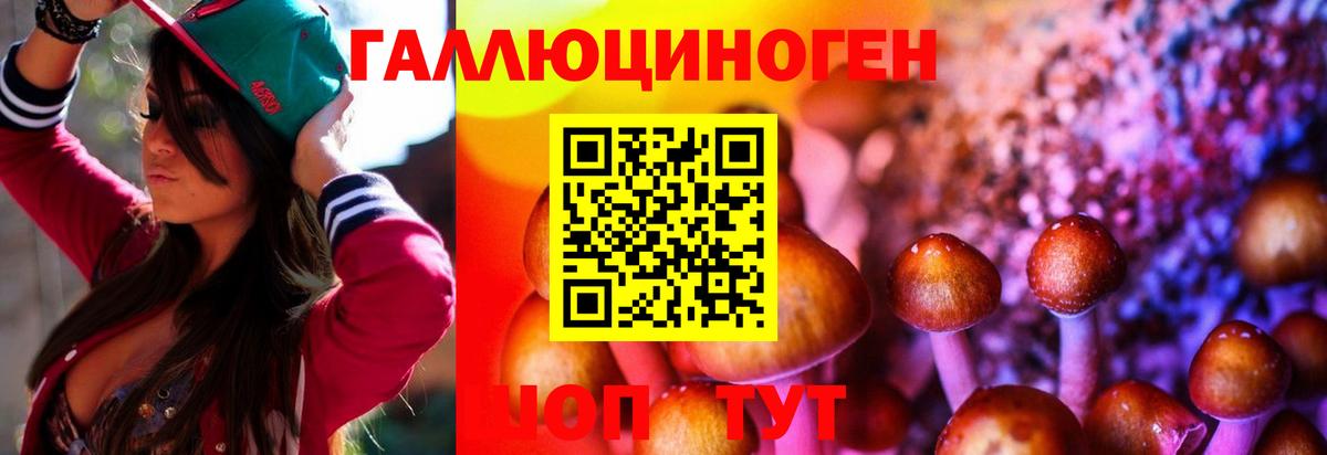 Псилоцибиновые грибы Psilocybe  Вход с VPN  Сосновый Бор  Псилоцибиновые грибы мицелий 