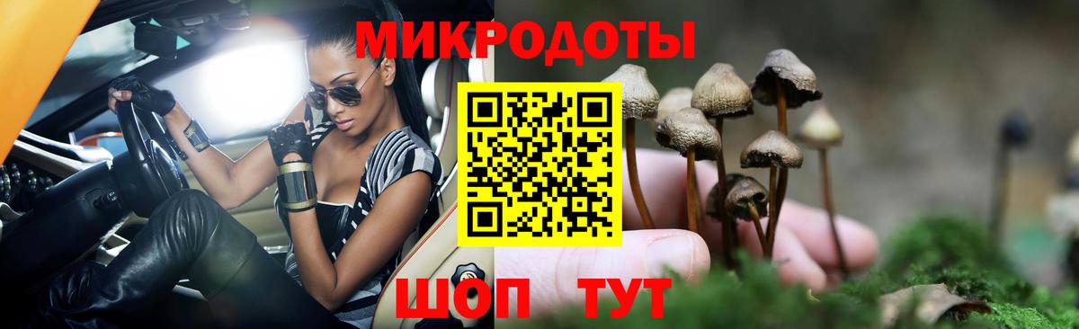 Галлюциногенные грибы Cubensis Сосновый Бор