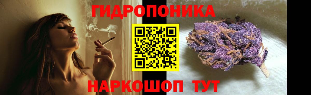Марихуана Bruce Banner  Вход с VPN  Сосновый Бор  Каннабис SATIVA & INDICA  МАРИХУАНА индика 